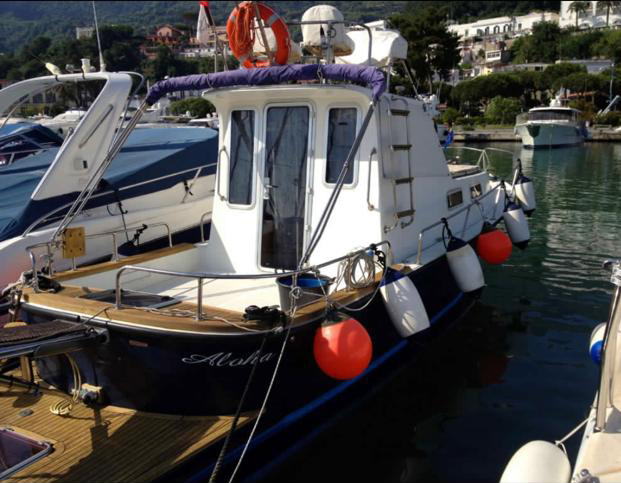 BlueMarine